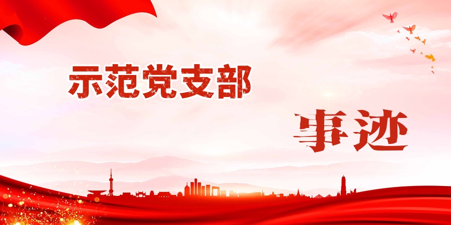陜西地礦集團示范黨支部典型事跡（一）